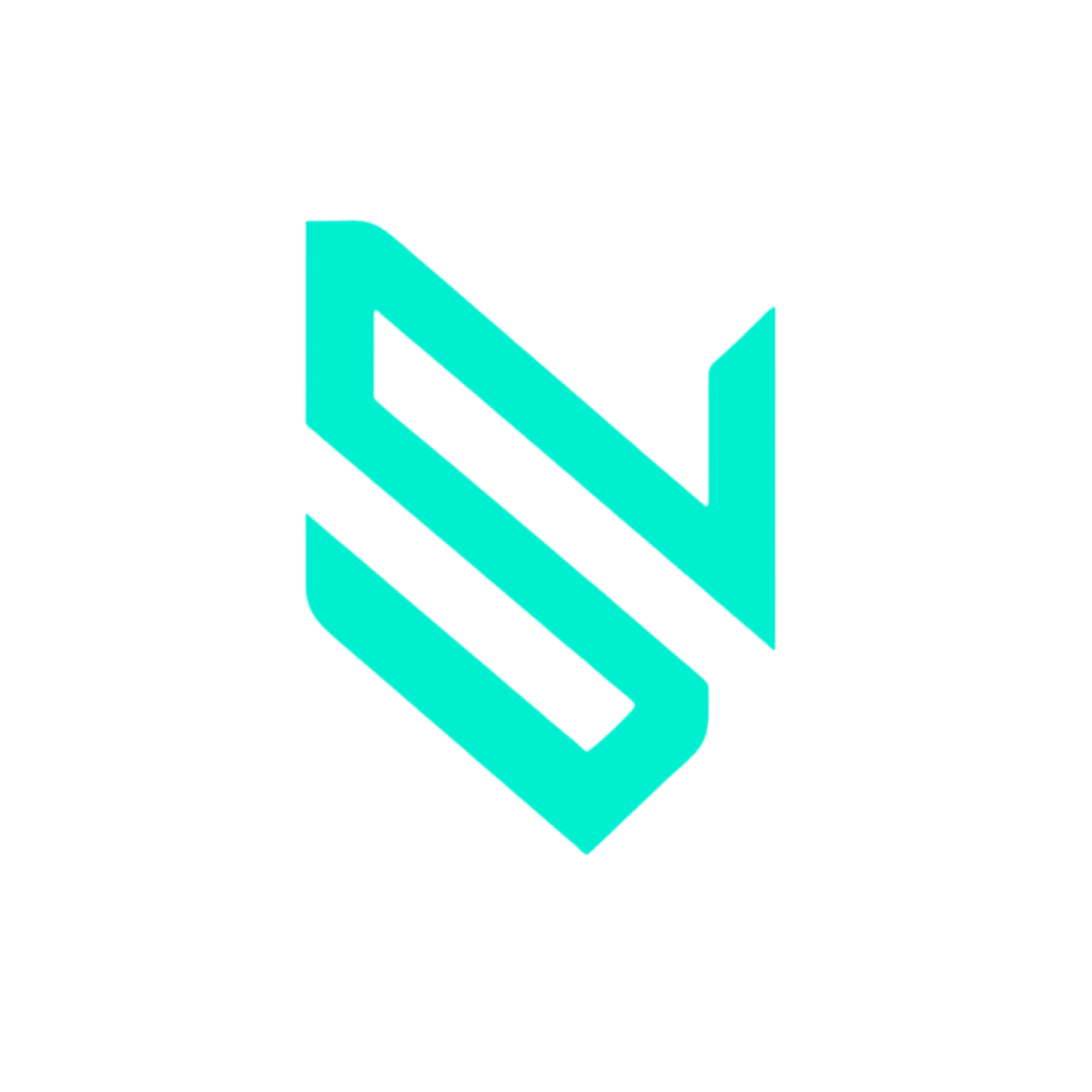 NEXA COMPANY